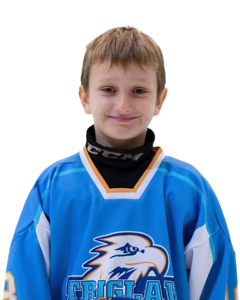 Domen Jenko